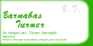 barnabas turmer business card